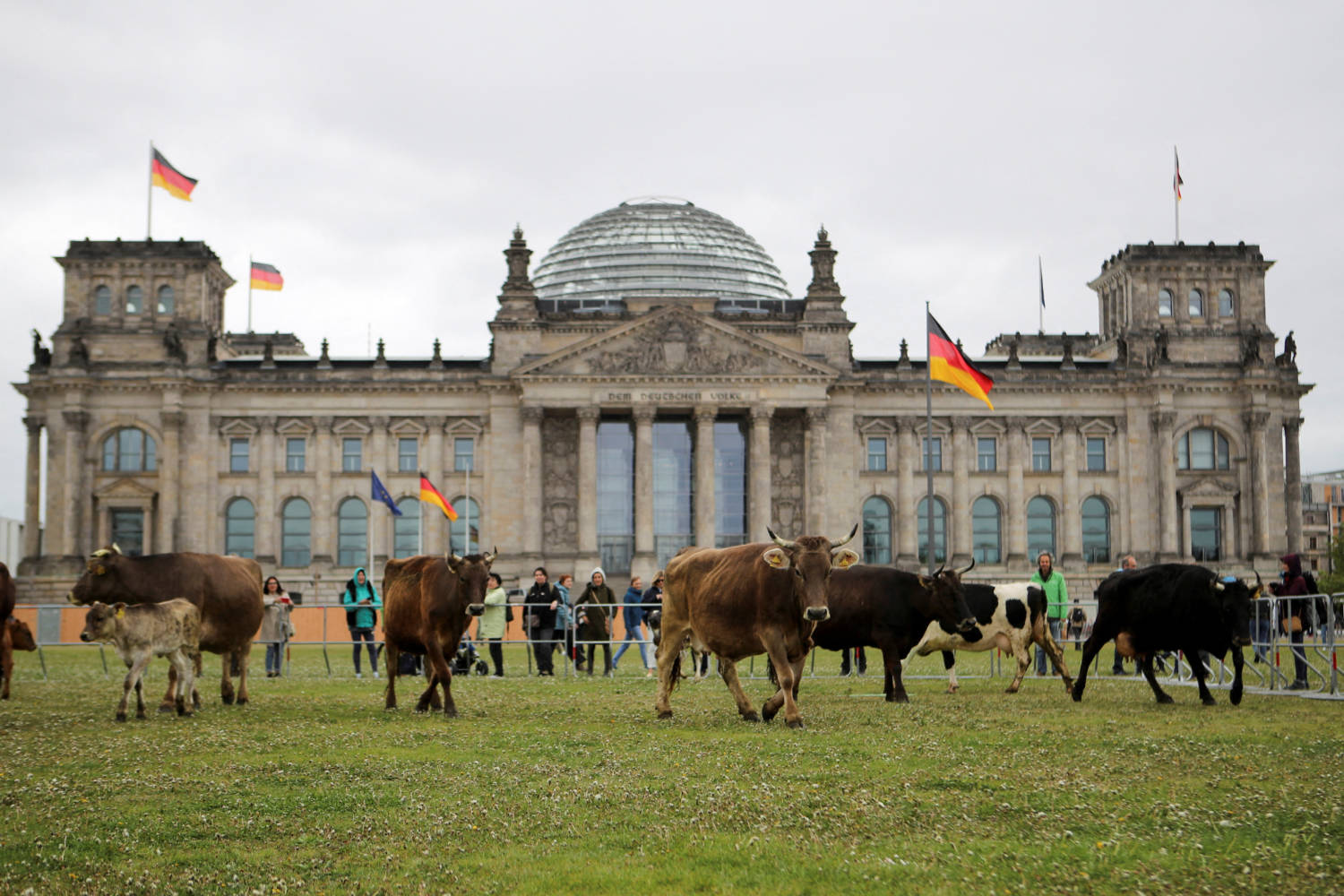 Greenpeace And Animal Rights Activists Protest Outside German Parliament In Berlin