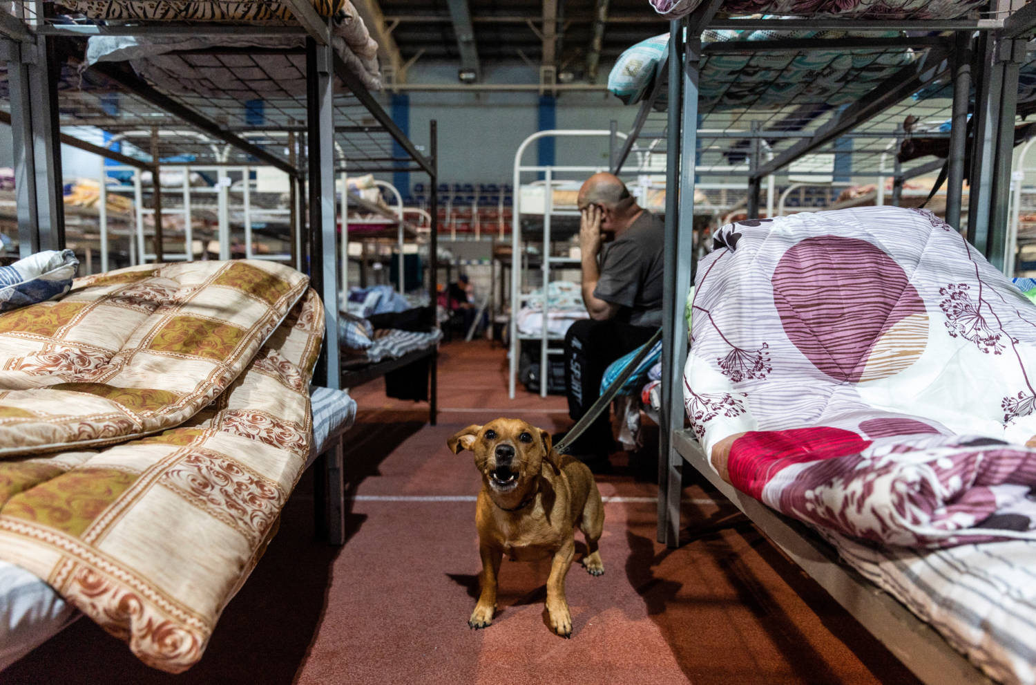 Evacuees From Russia's Belgorod Region Bordering Ukraine Stay At Temporary Accommodation