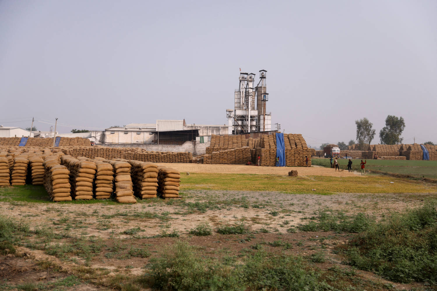 Crops Filled In Jute Sacks Are Seen Stacked Up On A Field In A Village In Karnal District In The Northern State Of Haryana