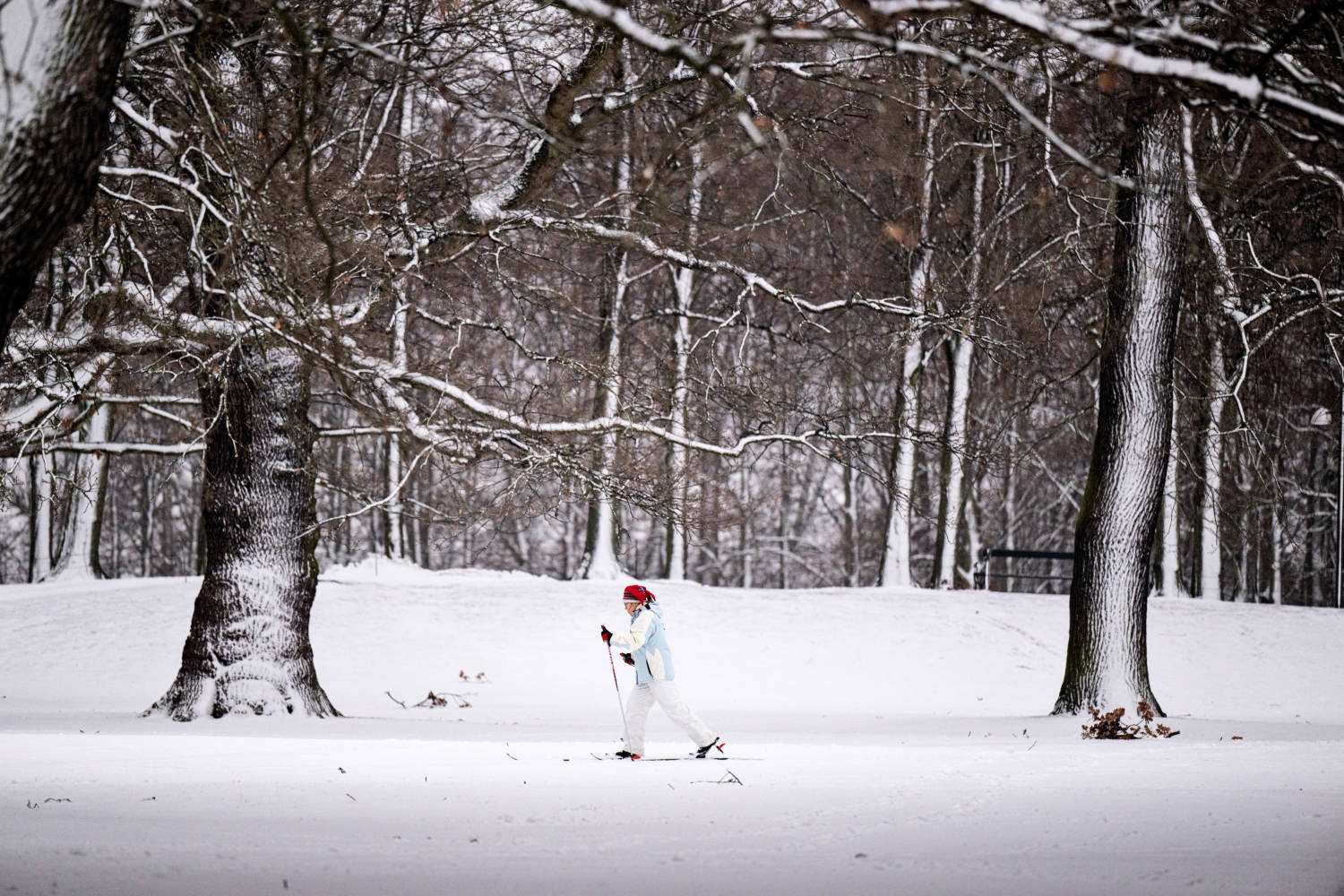A Person Skis In The Snow In Soendermarken