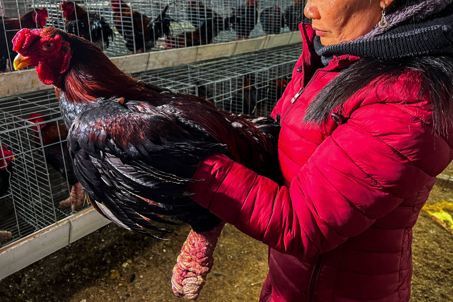 Meet Vietnam's 'dragon Feet' Chicken, A Lunar New Year Delicacy