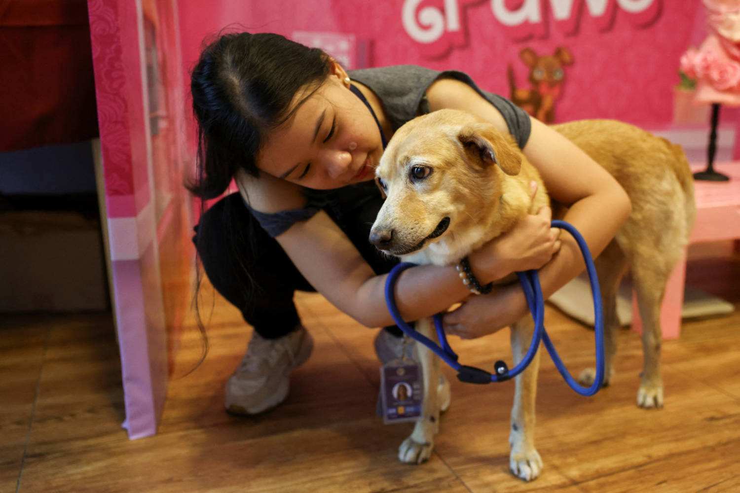 Philippine Animal Shelter Paws Hosts 'dates' For Their Rescues On Valentine's Day