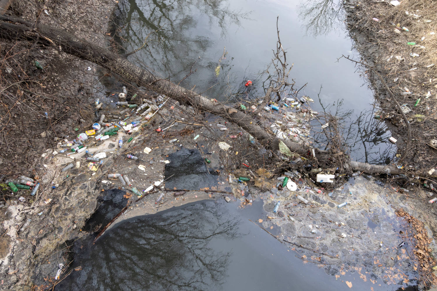Waste Floating On The Polluted Topciderka River In Belgrade