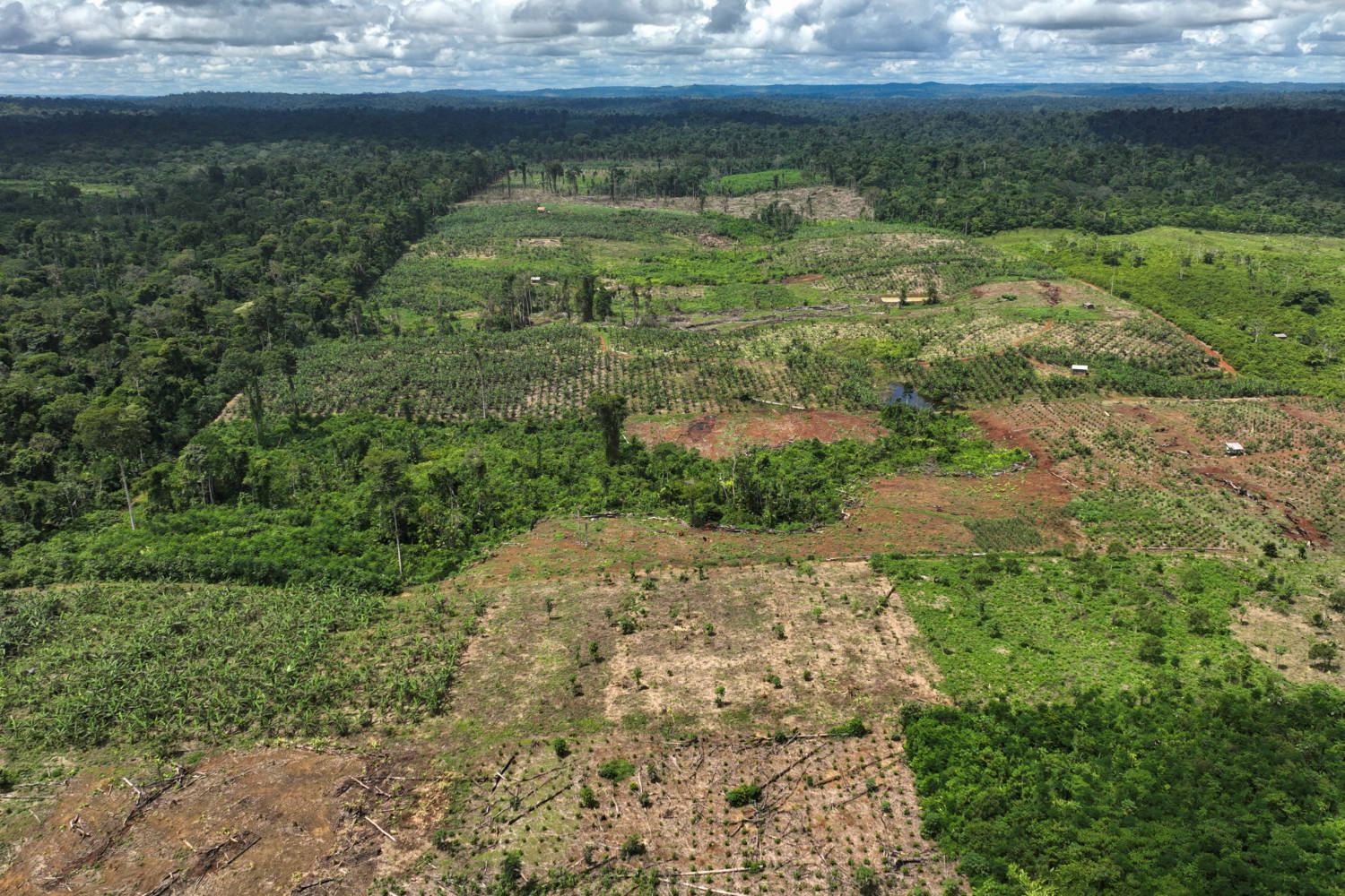 File Photo: Drone Footage Shows Deforestation In Brazilian Amazon