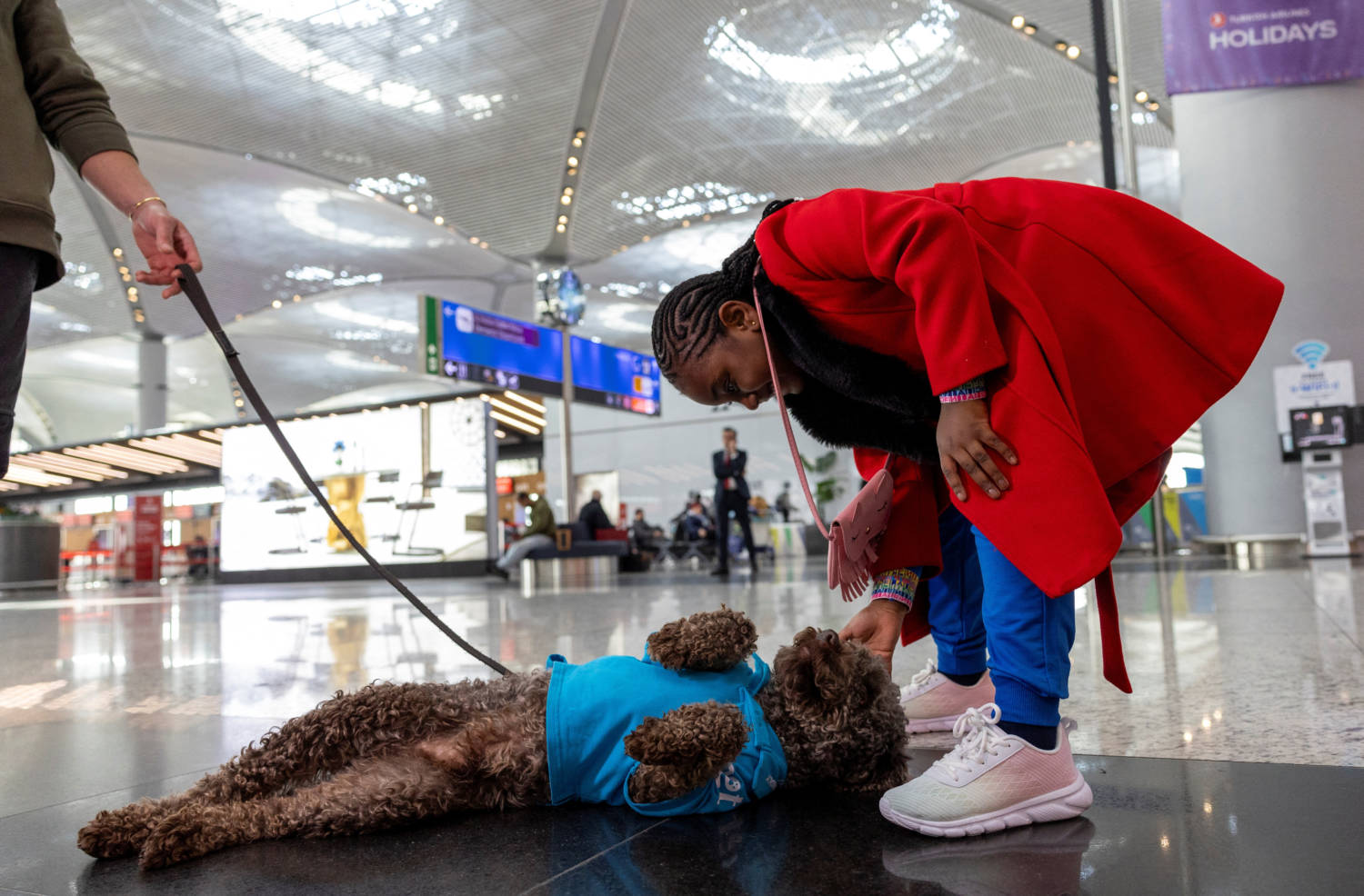 Therapy Dogs Roam Istanbul Airport, Searching For Stressed Passengers Who Are Looking To Calm Their Nerves Before They Board Their Flight, In Istanbul