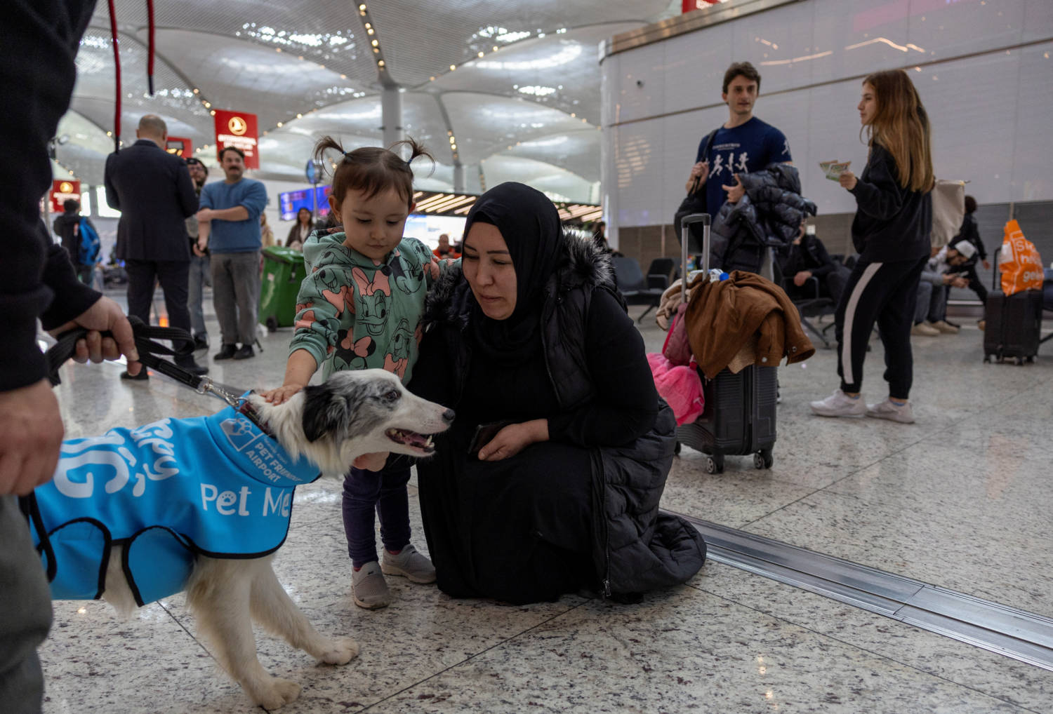 Therapy Dogs Roam Istanbul Airport, Searching For Stressed Passengers Who Are Looking To Calm Their Nerves Before They Board Their Flight, In Istanbul