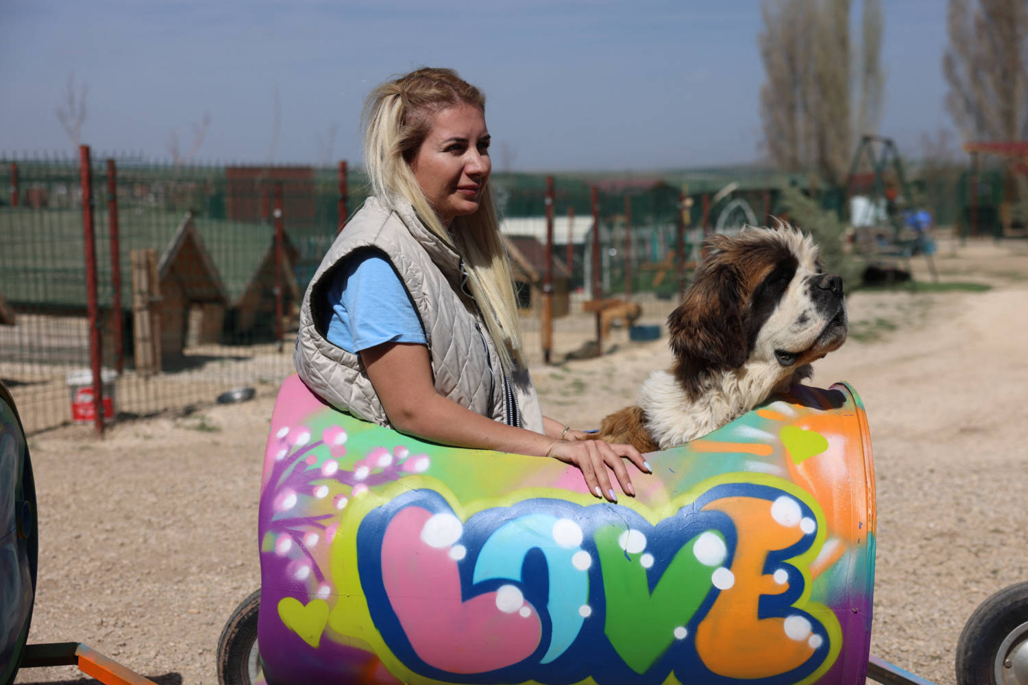 Chairwoman Of The Paws Holding On To Life Association Takes Disabled Dogs For A Ride With A Makeshift Train In Ankara