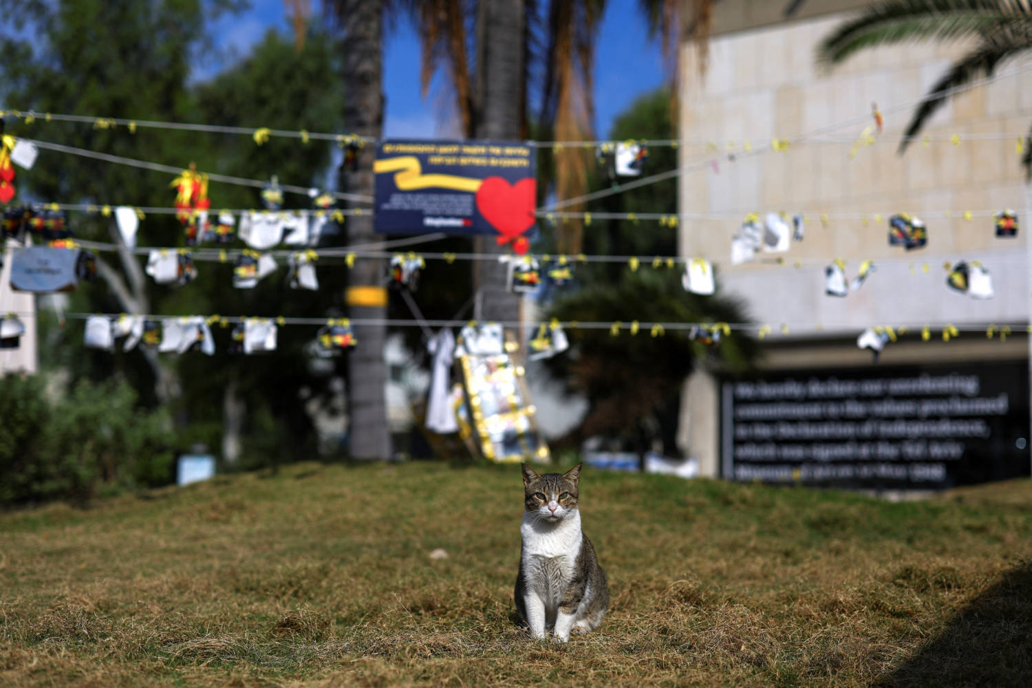 A Cat Sits In Front Of An Installation In Solidarity With Hostages Kidnapped On The Deadly October 7 Attack On Israel By The Palestinian Islamist Group Hamas, In Tel Aviv,