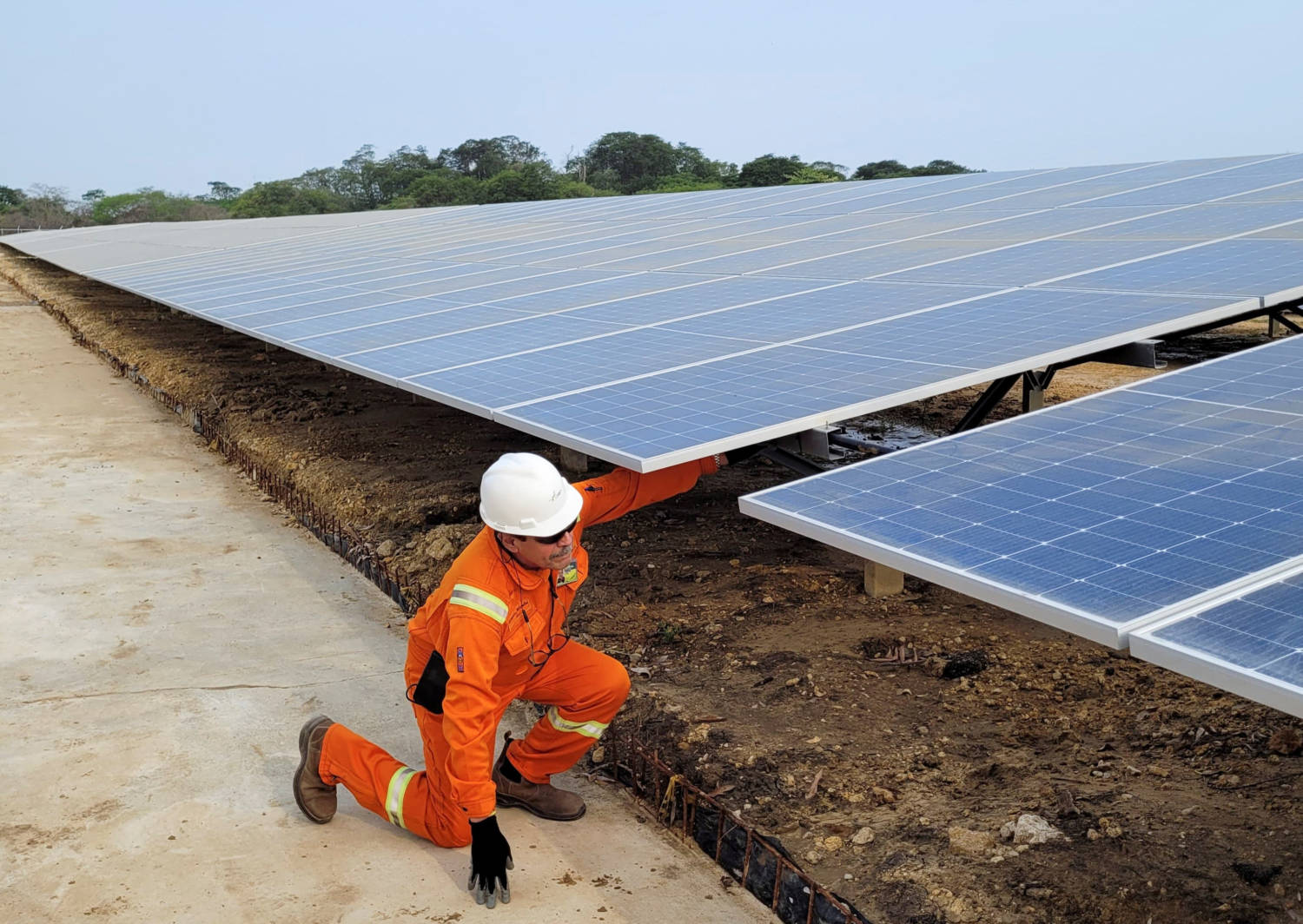 A Worker Checks Solar Panels Inside A Solar Park In Cartagena