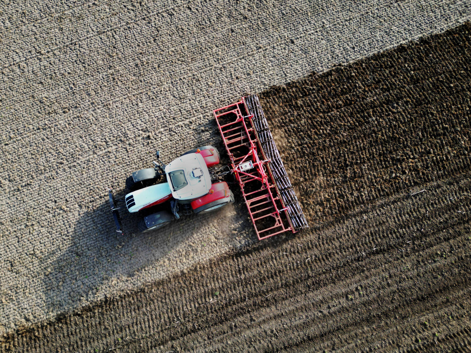 Drone View Of Farmer Driving Tractor In Grave