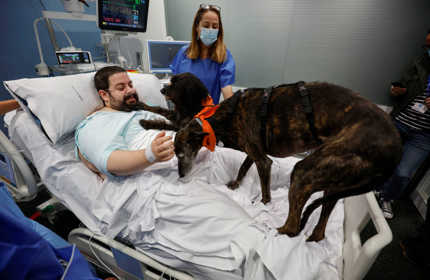 Theraphy Dogs Bring Relief And Comfort To Icu Patients At Hospital Del Mar In Barcelona