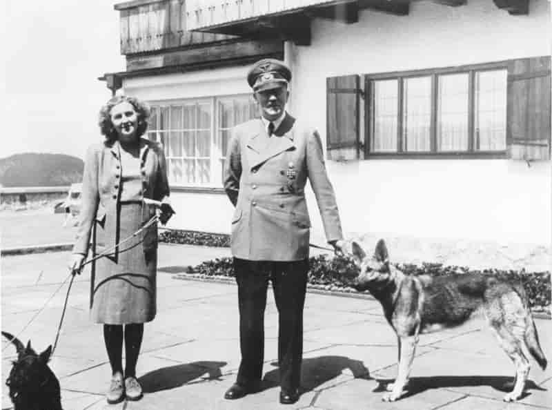 Standard Compressed Eva Braun Au
