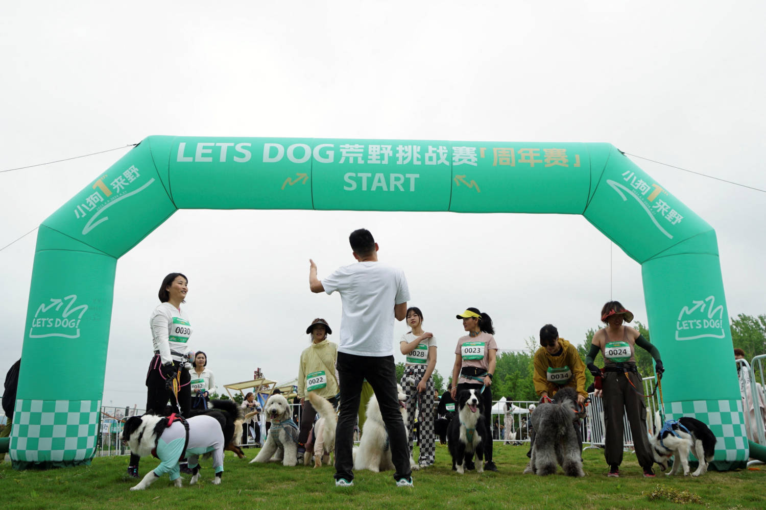 Dog Trail Race In Shanghai